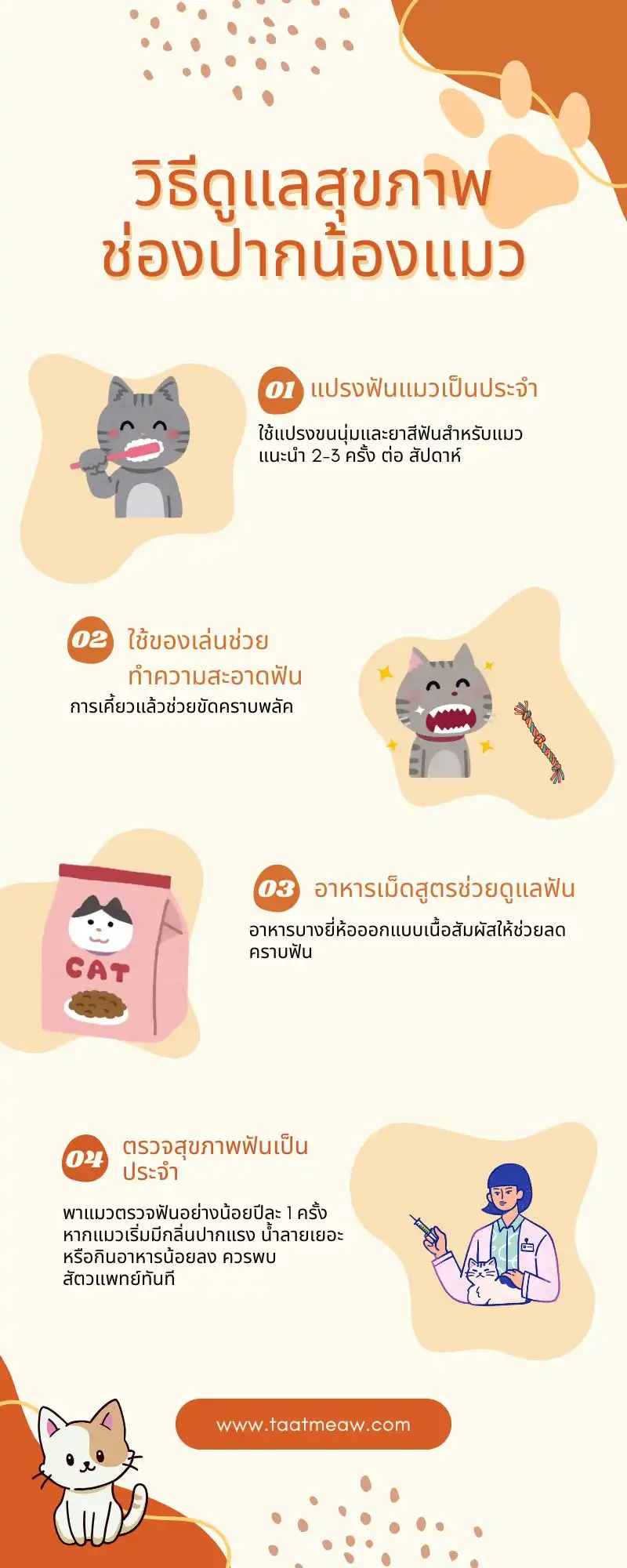 วิธีดูแลสุขภาพช่องปากแมว เคล็ดลับง่าย ๆ ที่เจ้าของควรรู้