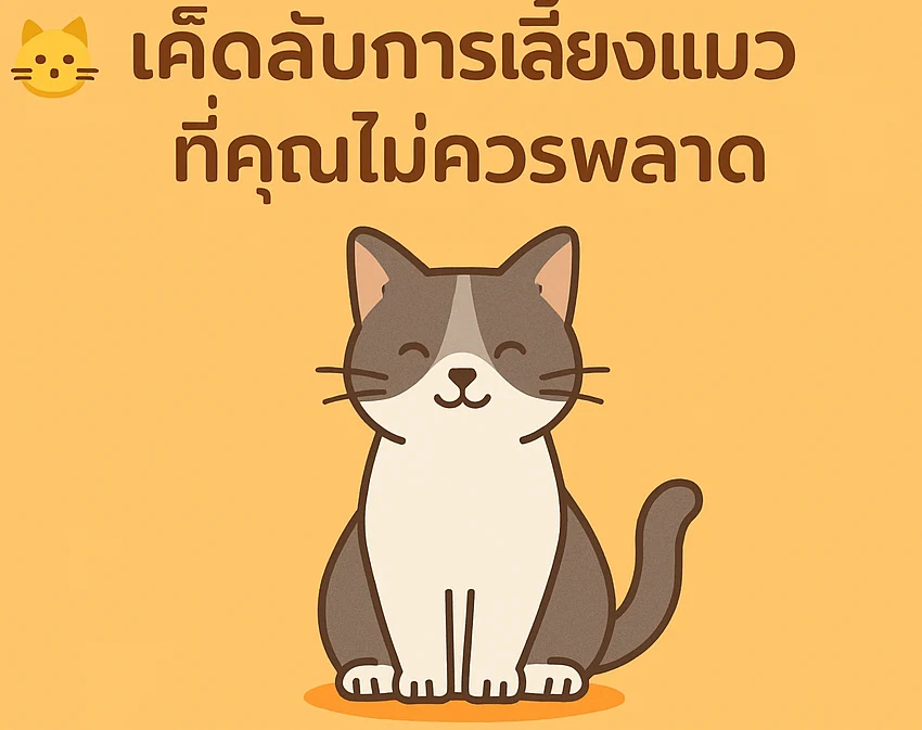 เคล็ดลับดูแลแมวแบบเจาะลึก